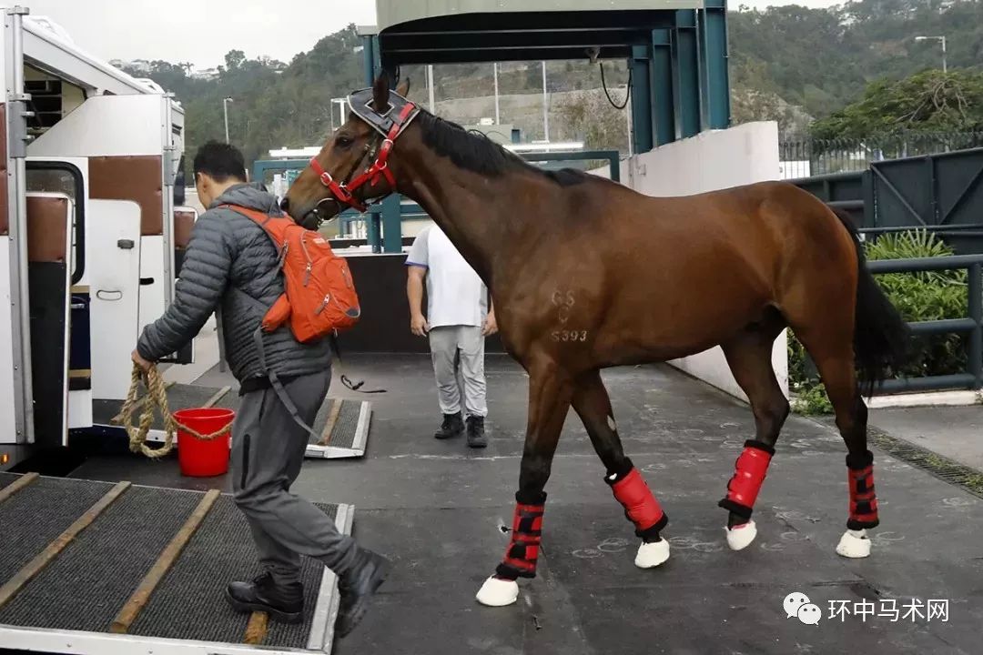 香港马买马网站www,香港马买马网站——探索赛马世界的门户