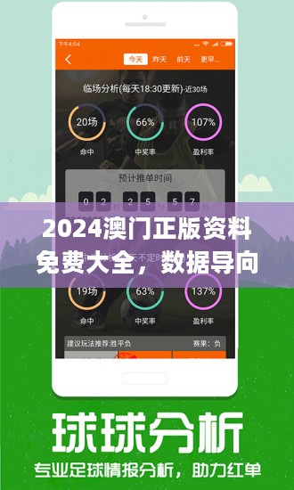 新澳2024大全正版免费资料,新澳2024大全正版免费资料，探索与解析